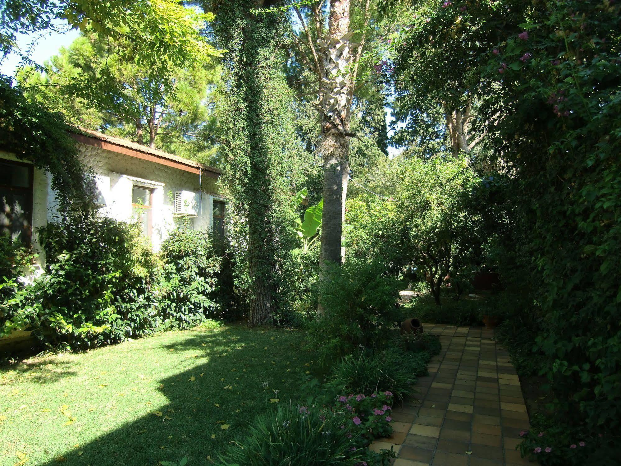 Hotel Happy Caretta Dalyan Εξωτερικό φωτογραφία