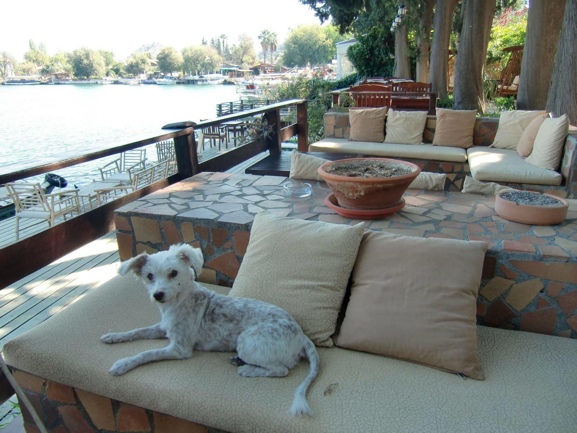 Hotel Happy Caretta Dalyan Εξωτερικό φωτογραφία